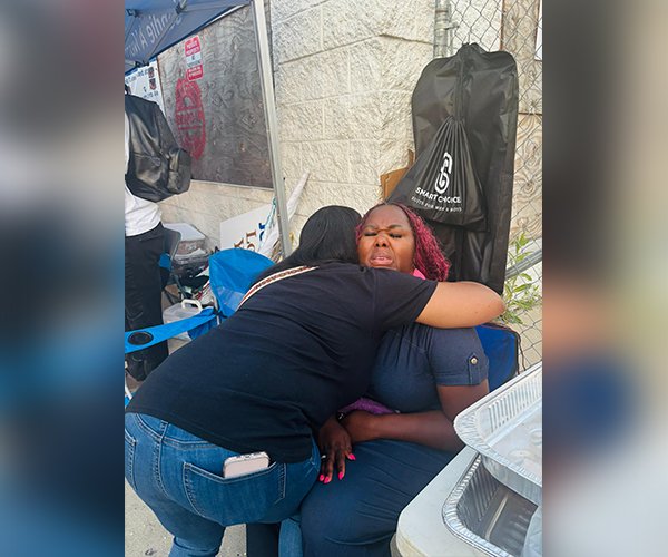 New Updated Images (50)